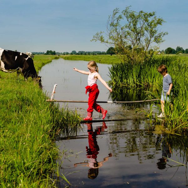 Day in the Life fotografie in Westbroek, op bezoek bij de boer, documentaire familie fotografie, documentair familie fotograaf Sandra Stokmans Fotografie