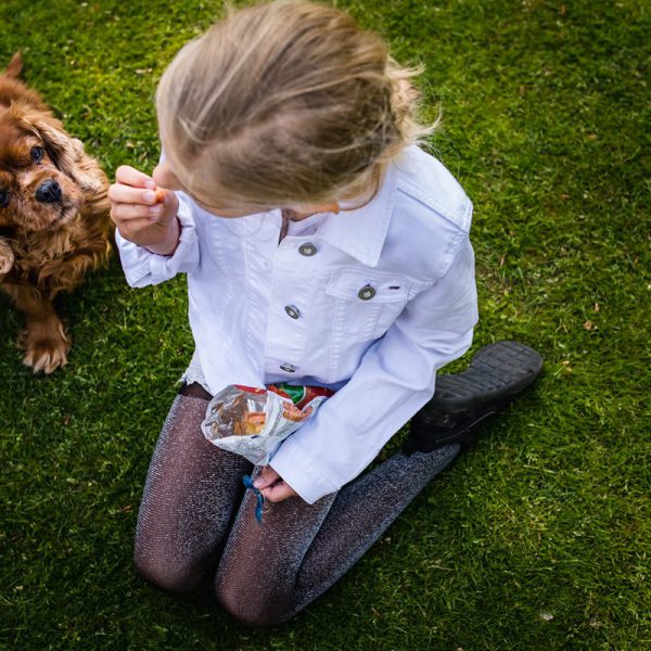 Familiedag fotograferen in Lage Vuursche, documentaire familiefotografie, hond kijkt verlekkerd naar eten meisje, foto door Sandra Stokmans Fotografie