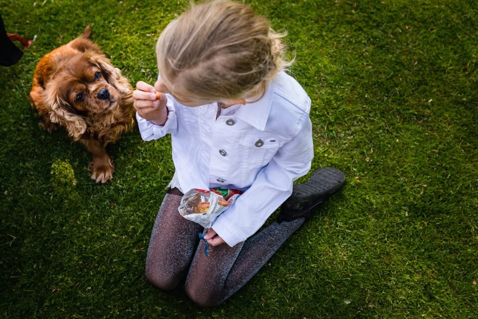 Blog, familiedag fotograferen Familiedag fotograferen in Lage Vuursche, documentaire familiefotografie, hond kijkt verlekkerd naar eten meisje, foto door Sandra Stokmans Fotografie