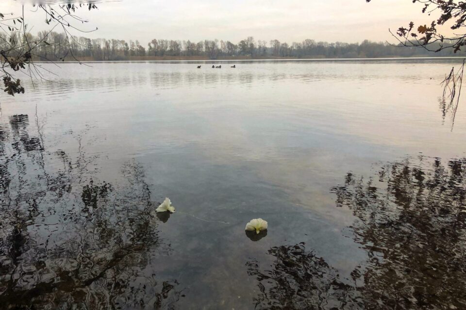 De dag dat mijn wereld op zijn kop stond. 10 jaar later. Afscheidsritueel.