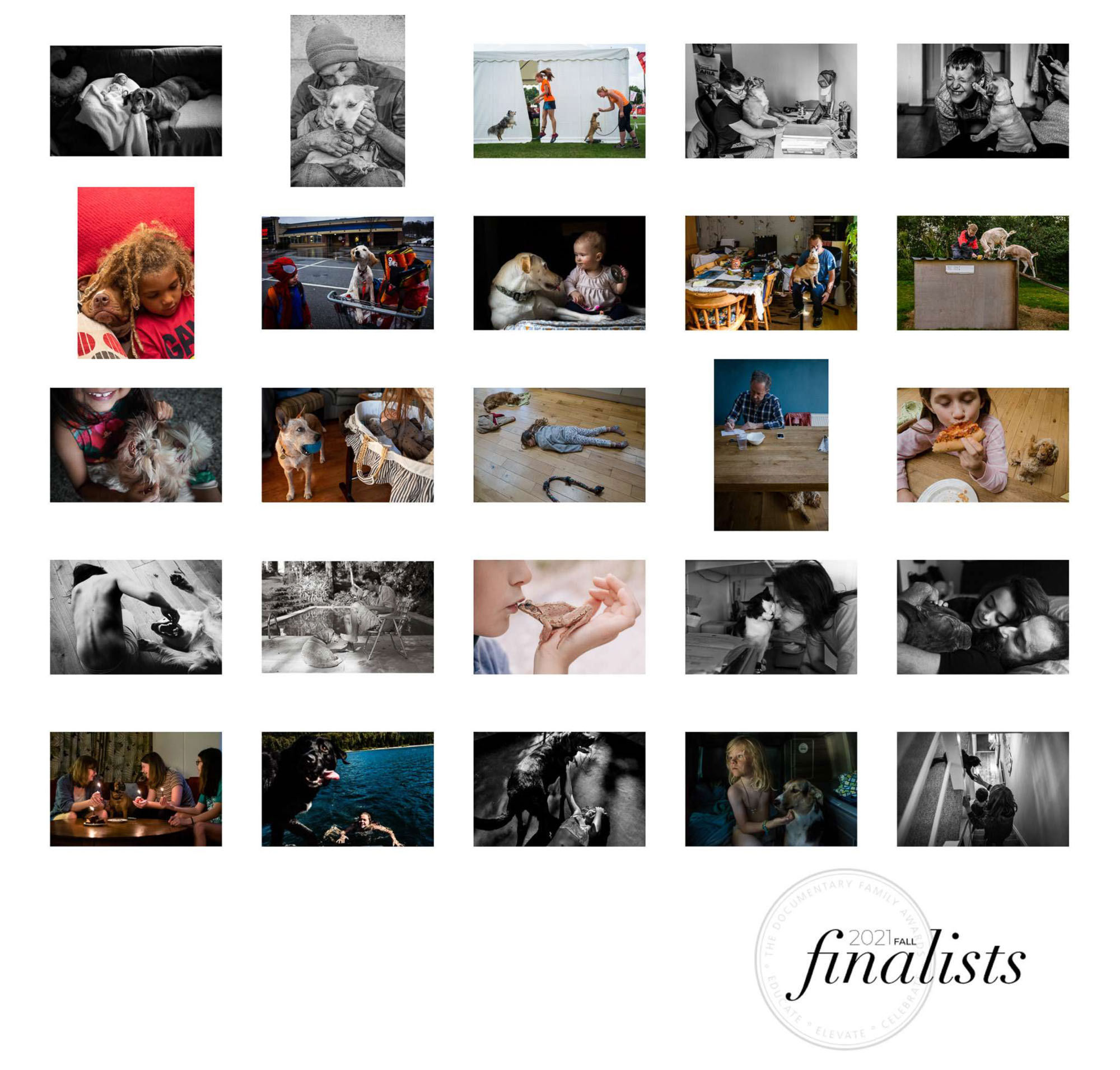 DFA Fall Finalist category 'Person's Best Friend' - 9 én 10de foto 